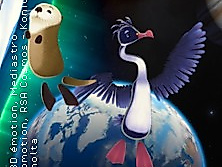 Wasser überall – versteckt im Universum