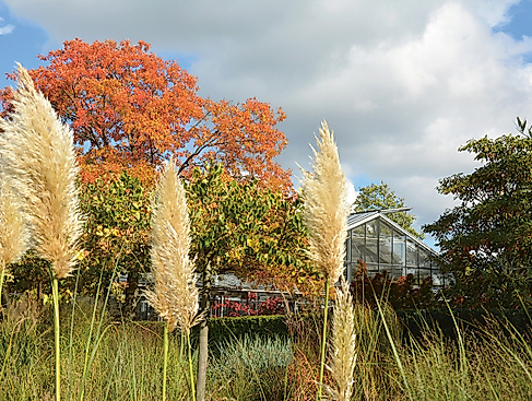 gve-indian-summer_0003_dsc_0540