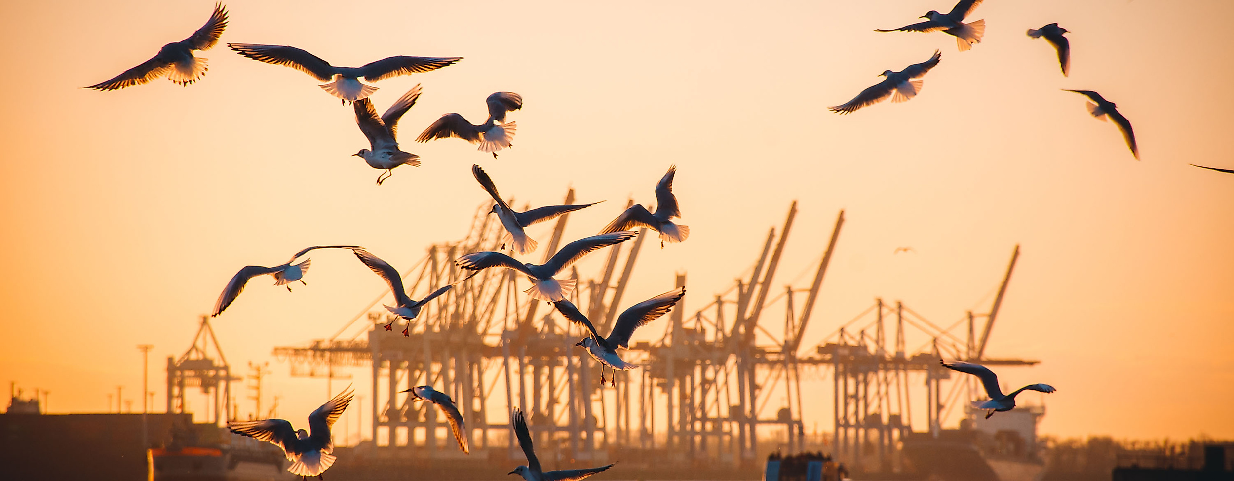 Sonnenuntergang Hamburger Hafen