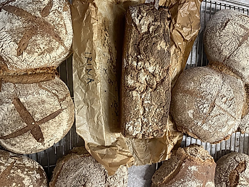 Backworkshop Bio-Sauerteigbrot
