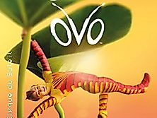 Cirque du Soleil - OVO