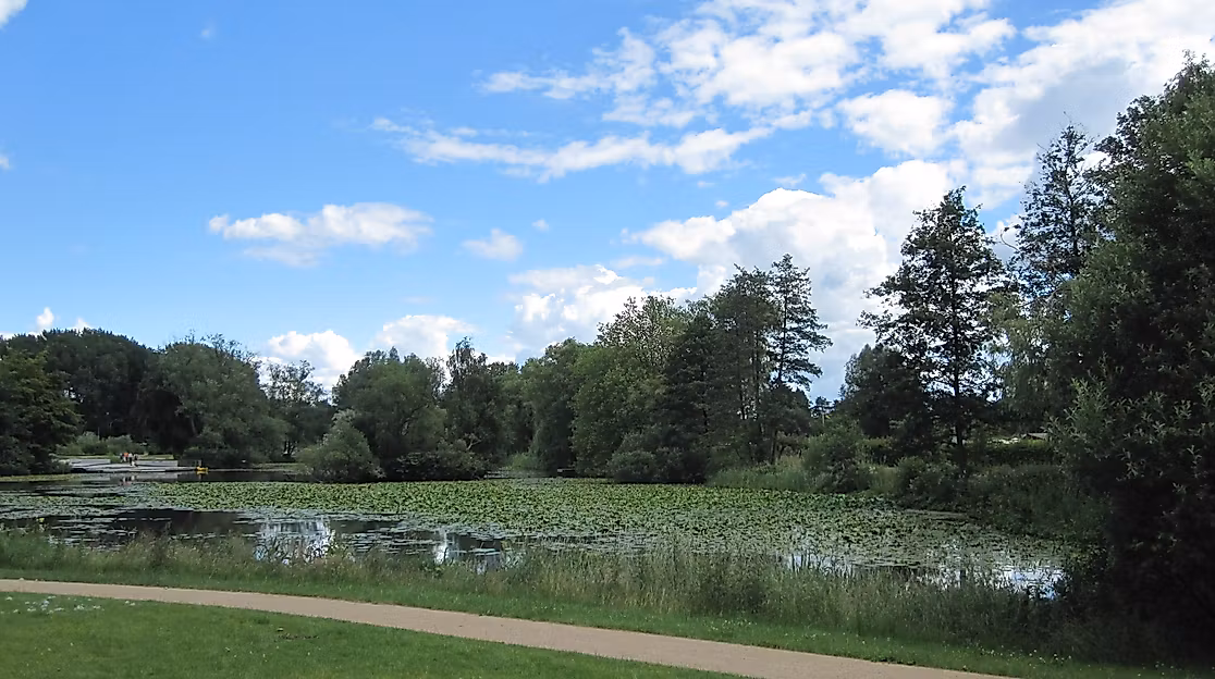 wilhelmsburger-inselpark_c-vera-mueller_04_1