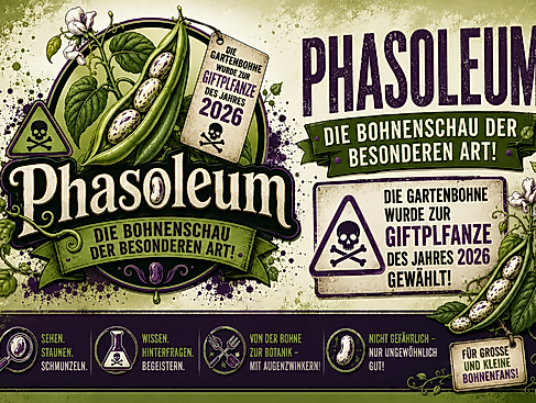 Phasoleum