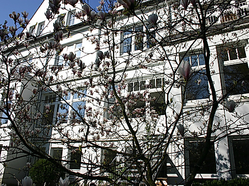 Evangelische Familienbildung Eppendorf