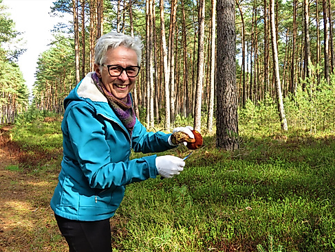 Pilze suchen und bestimmen im Suderburger Land