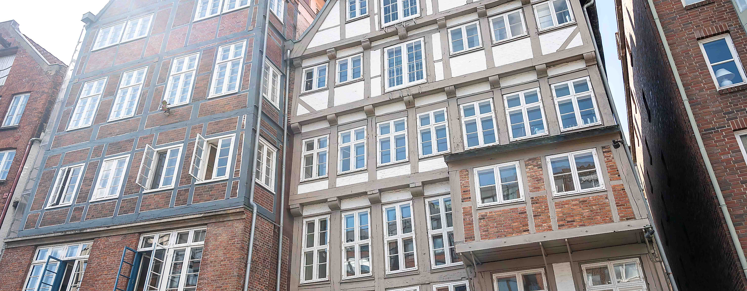 Deichstraßenerkundung mit Moin Tours amburg