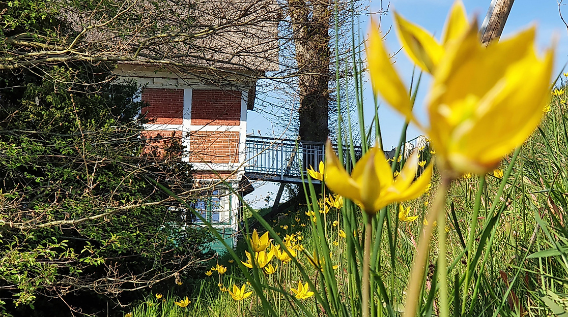 Haus Anna Elbe Meadow