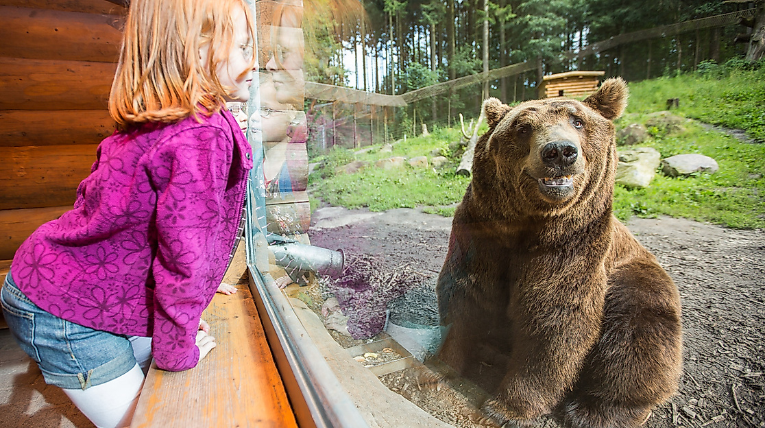 Wildpark Lüneburger Heide Ferienspaß