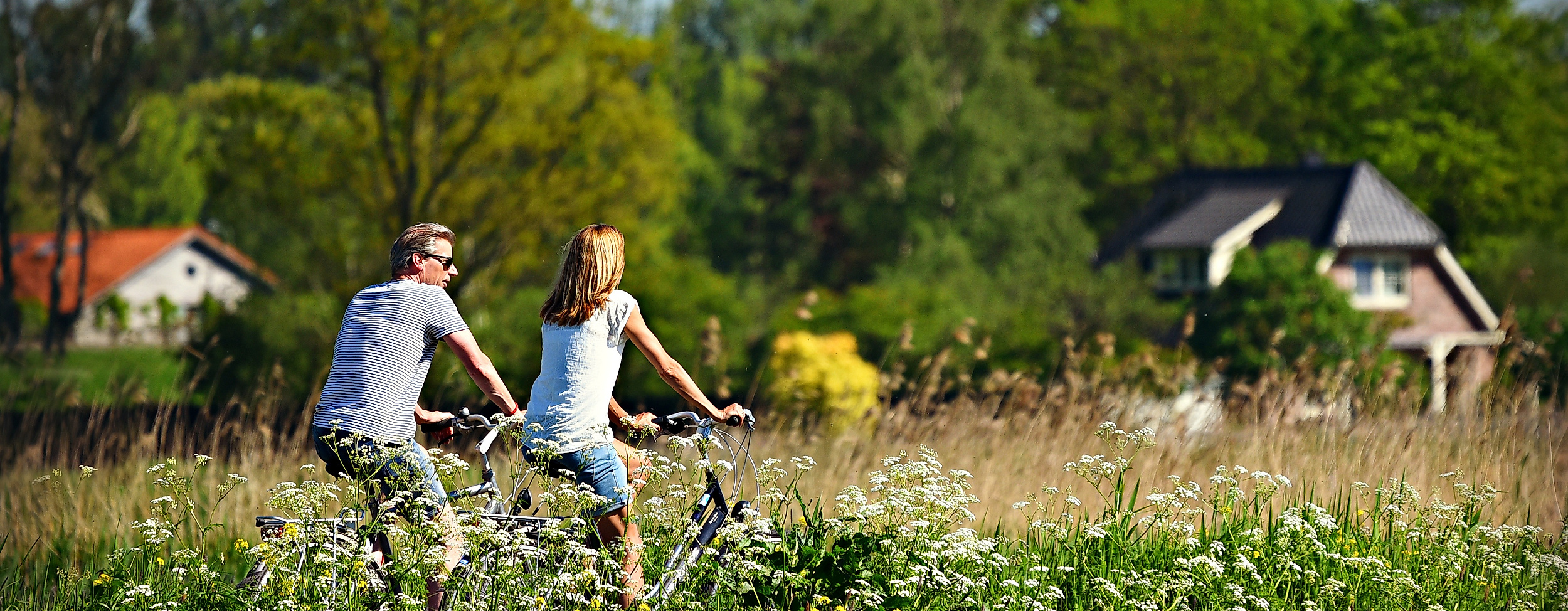 fahrrad-natur_c-pixabay-mabelamber