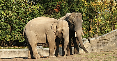 Tierpark Hagenbeck