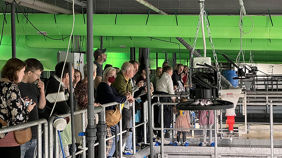 HansGarnelen-Besichtigung(c