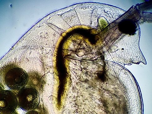 2023-03-23 22-27-51 (B,R7,S4)