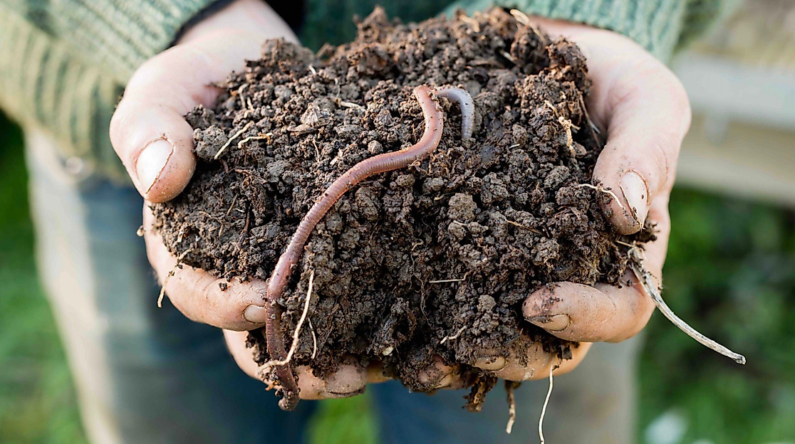 Unsere Böden verstehen – Einführung in den biodynamischen Anbau