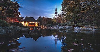 planten-un-bloomen_c-sascha-neuroth