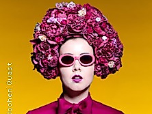 Die Csárdásfürstin