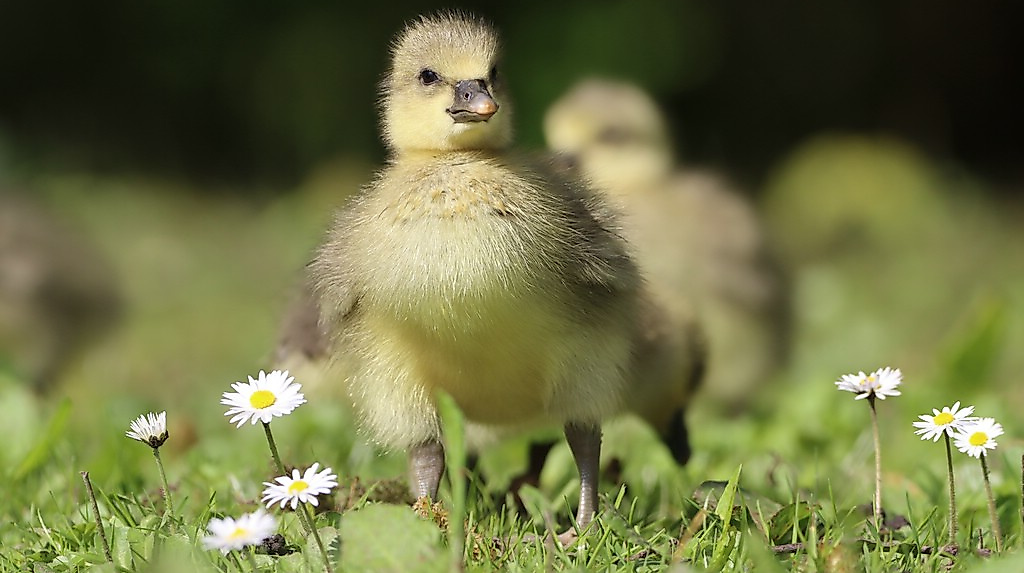 termin_19.04.26_IMG_9551_NACHWUCHS