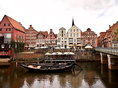 Stint in Lüneburg