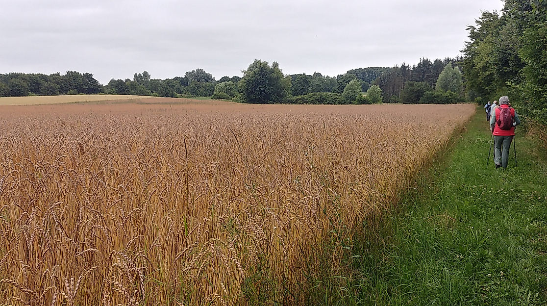 Pilgern durch die Jahreszeiten
