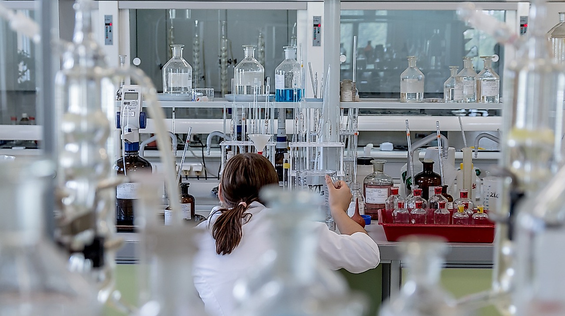 Biotechnologie - Wir stellen eigenen Joghurt her