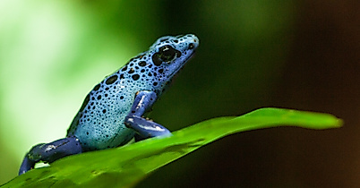 Tropical Aquarium Hagenbeck