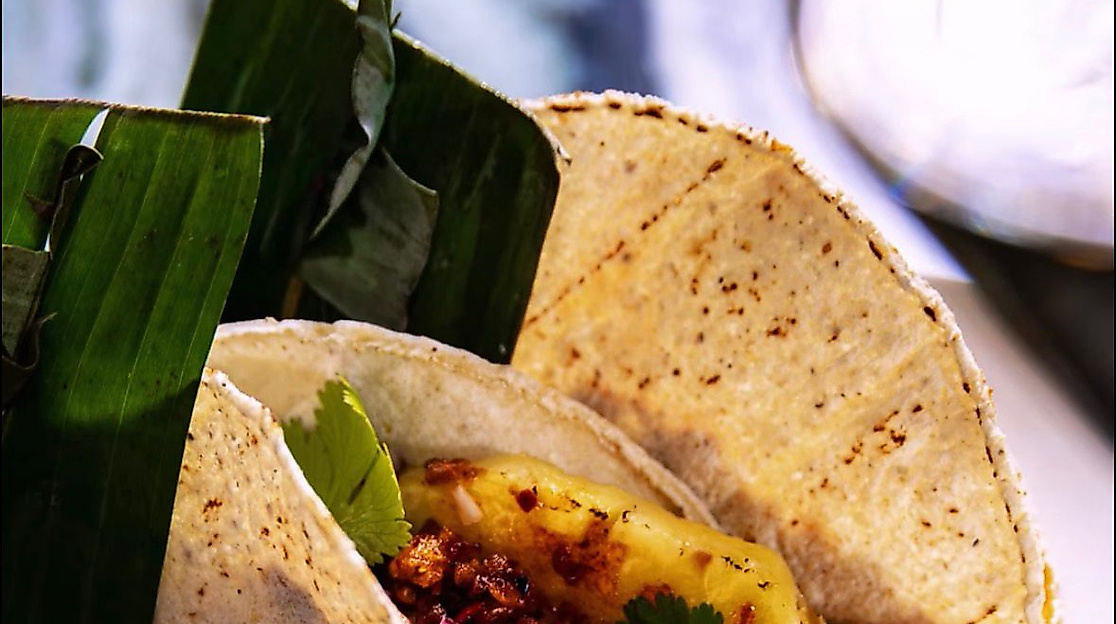 photo-2026-03-26-16-12-39