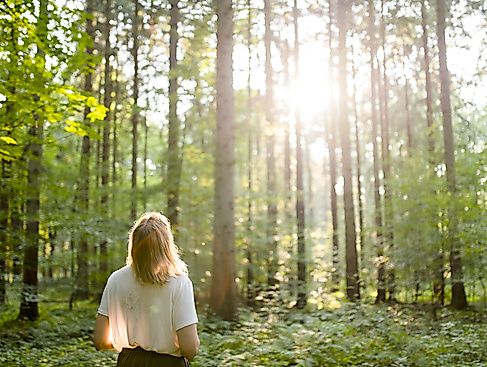 Waldbaden in Hamburg und Schleswig-Holstein_Waldimpuls-Hamburg