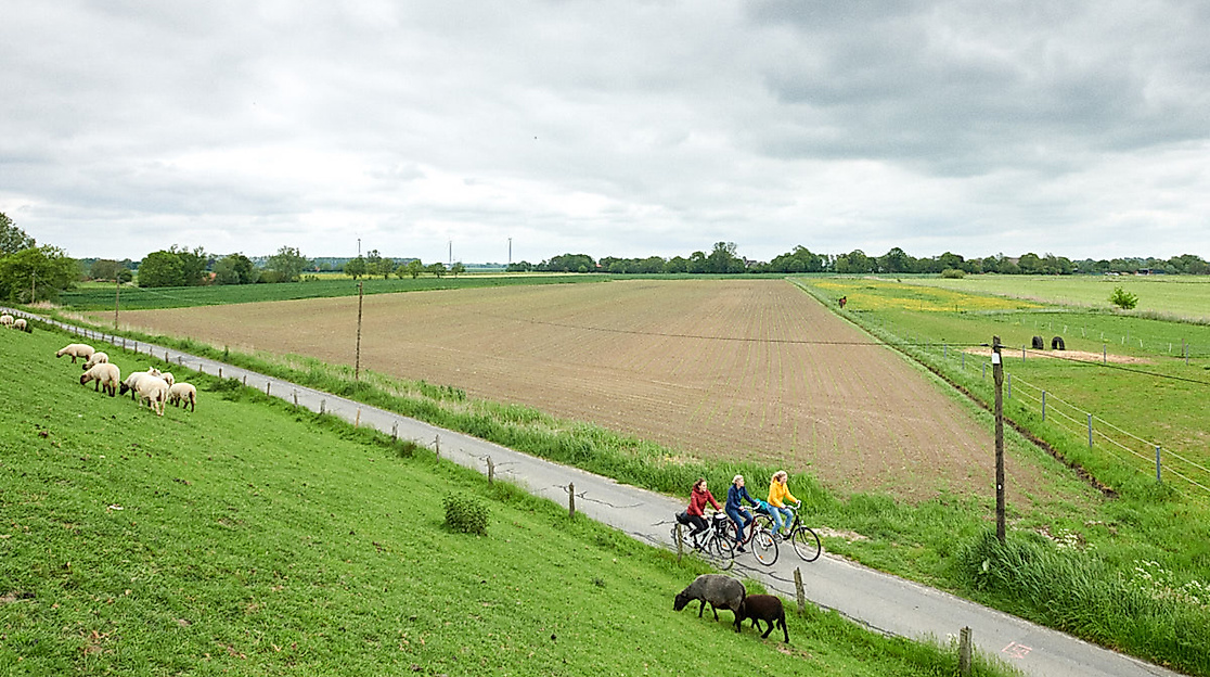 Geführte-Radtour-(c)-GDM,-Fotograf-Kratz