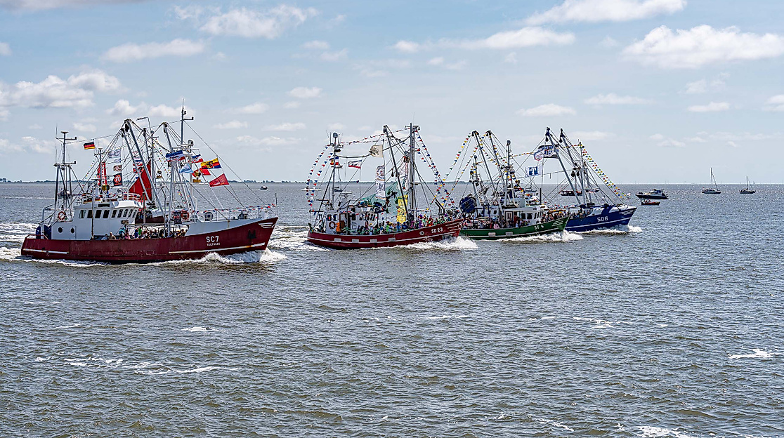 121. Büsumer Kutterregatta