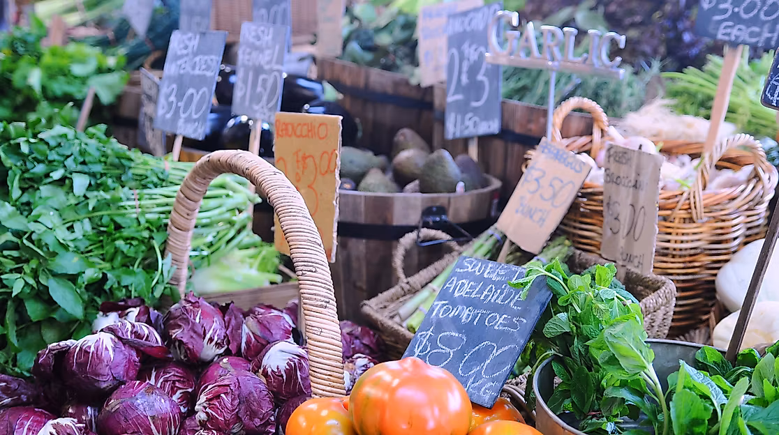 Fischmarkt am Donnerstag