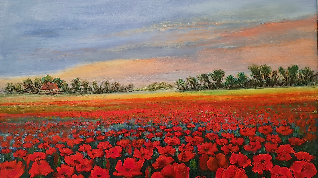 Paul Schubert: Mohnblumenfeld, Acrylmalerei