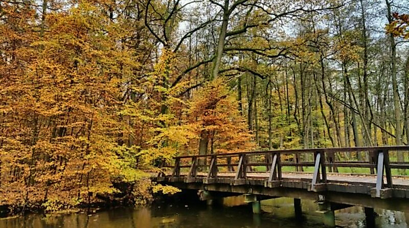 Wanderung zu den historische Stätten an der Wipperau bei Oldenstadt