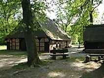 Minisurvival - das Abenteuer wartet im Wald!