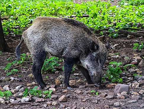Bild von Thomas G. auf Pixabay