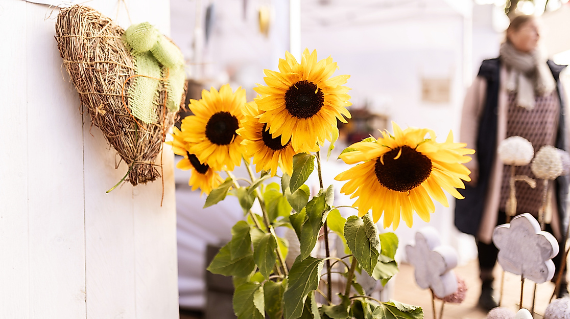 Malenter Landmarkt 2026