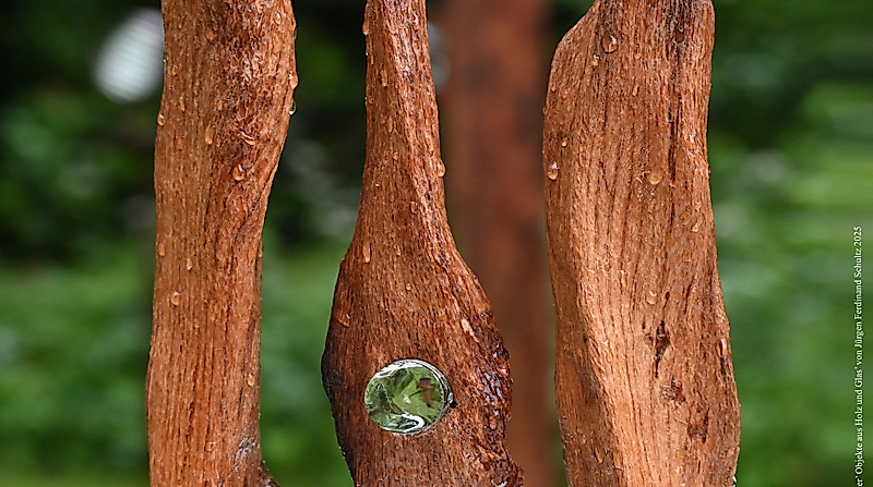 Plakatmotiv: drei Holz-Glasobjekte vor Parkhintergrund