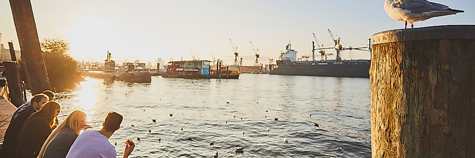 Person am Ufer des Hamburger Fischmarkts bei Sonnenuntergang, Möwe auf Poller und Blick auf den Hafen