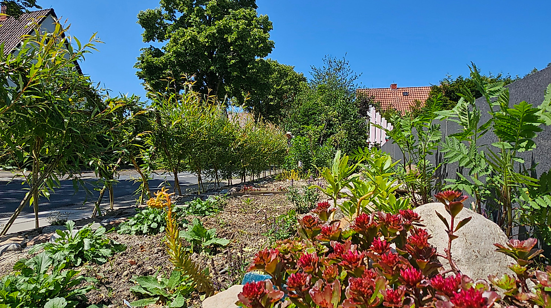 Gartenöffnung Swetlanas Gärten
