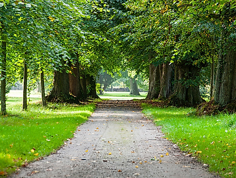 avenue-4964960_1920