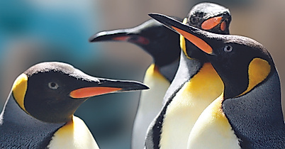 Tierpark Hagenbeck
