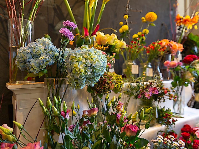 Saintpaulia Blumenbinderei