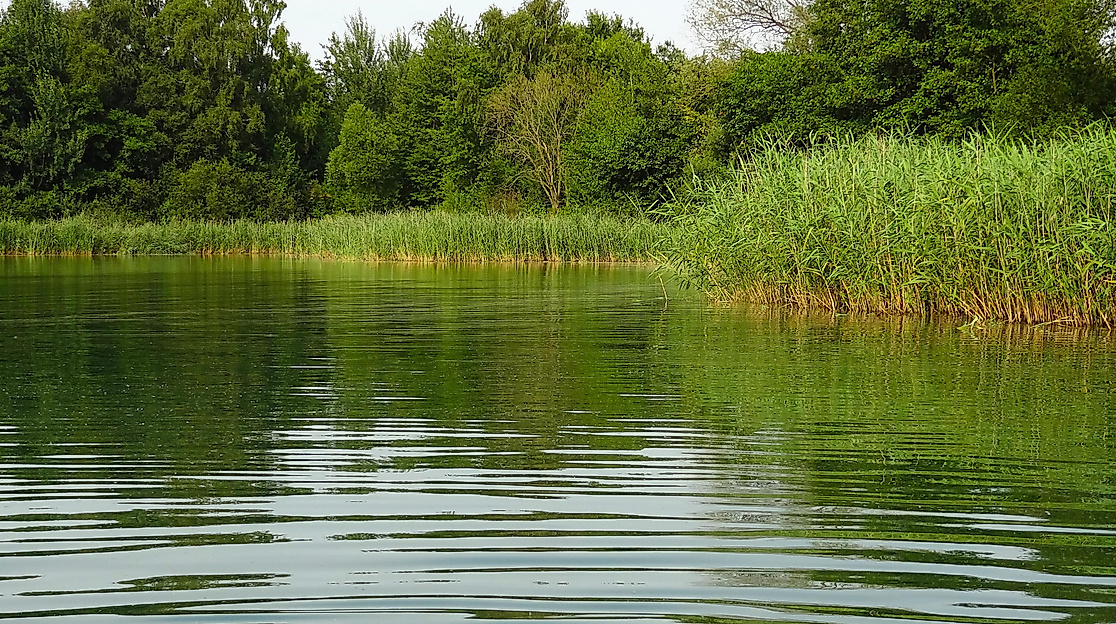 muessener_see_c-jan-mallander_pixabay_555829