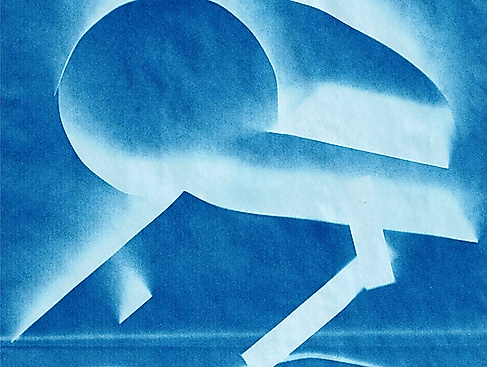 (ohne Titel), Cyanotypie, 2025