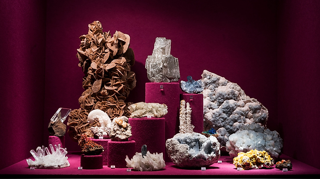 Museum der Natur Hamburg - Zoologie