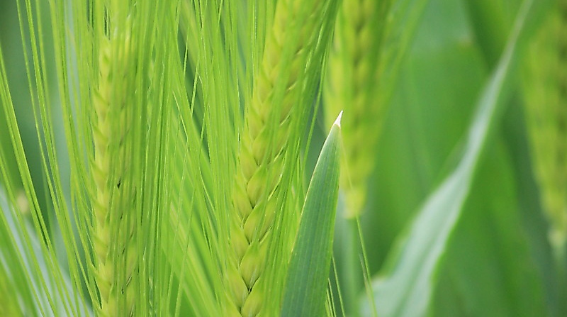 Ökumenischer Gottesdienst zum Weltgebetstag der Frauen