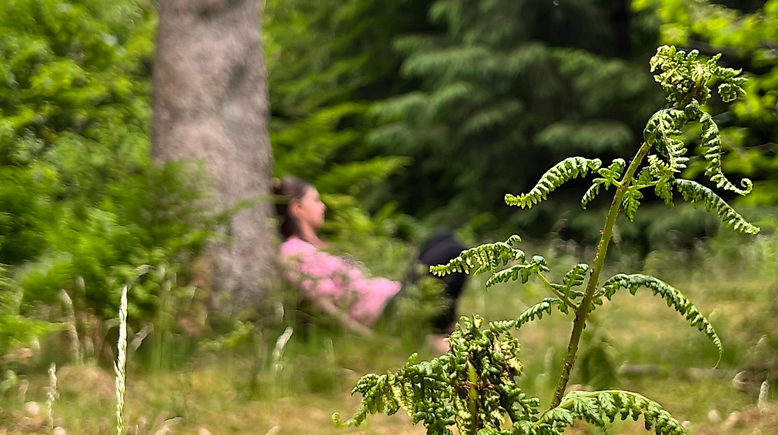 Auszeit vom Alltag im Wald erleben, Waldimpuls-Hamburg