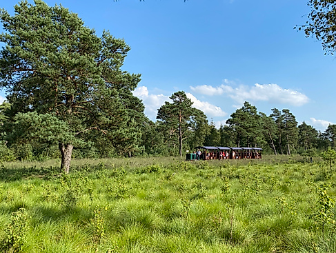 Moorbahnfahrten in den niedersächsischen Schulferien