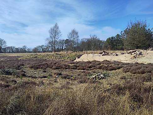 Maßnahmenumsetzung im Bokeler Moor