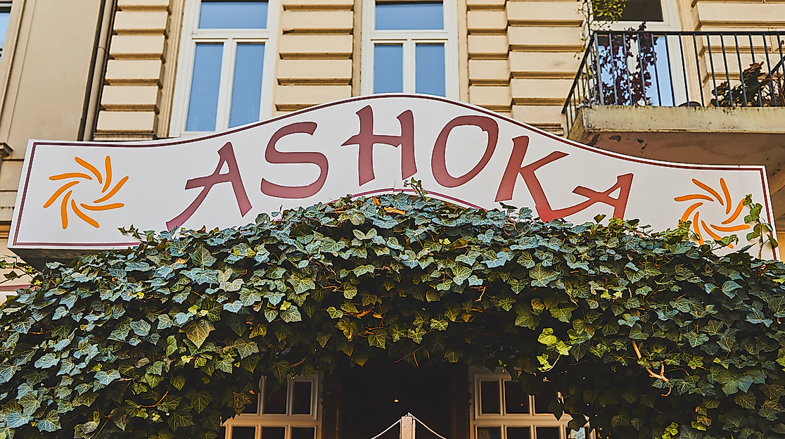 ashoka_c-2018-thisisjulia-photography-1