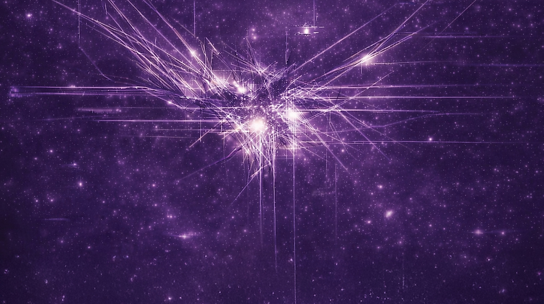 TRANSTRONICA 2026 dark velvet erw