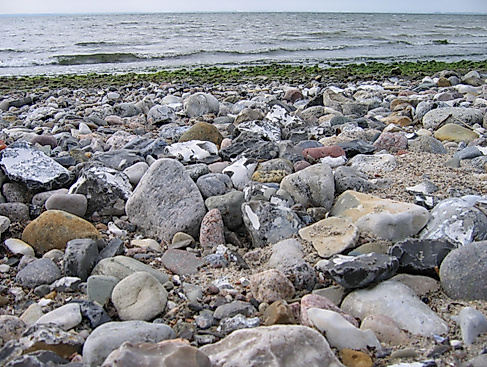 Archäologische Sprechstunde im zeiTTor